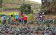 Proyecto Huertos Escolares