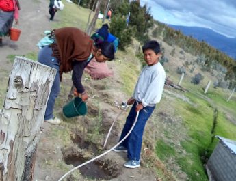 Proyecto siembra de árboles nativos