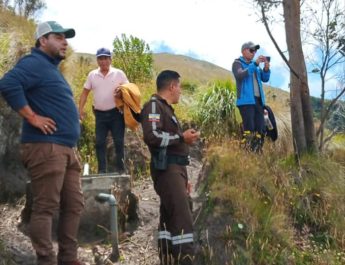 Proyecto Siembra de Árboles Nativos 2025 – 2026