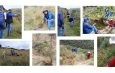 Visita de seguimiento al proyecto de siembra de árboles nativos en Santa María de Milán